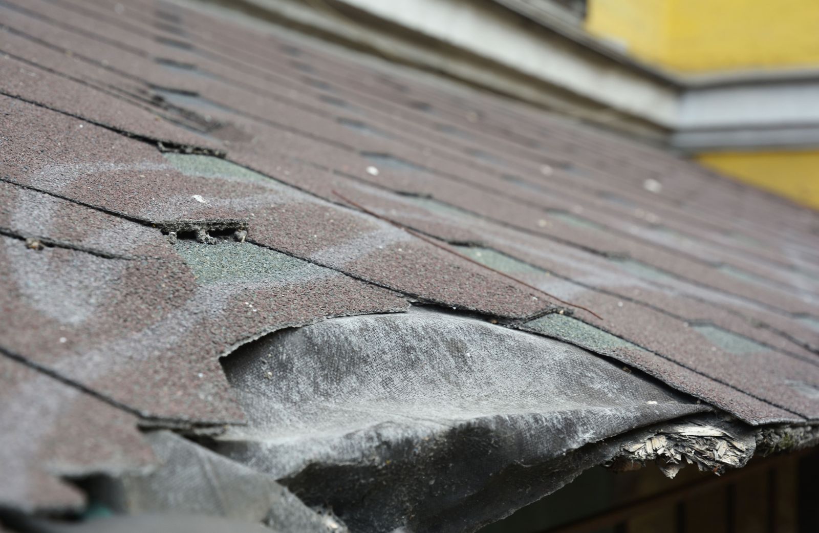 Steadfast Construction & Roofing Images