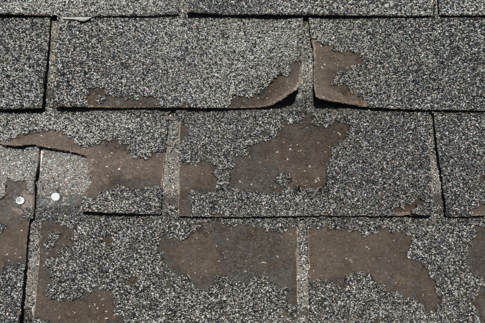 Steadfast Construction & Roofing Images
